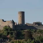 Lerchi Am Nuerburgring *
