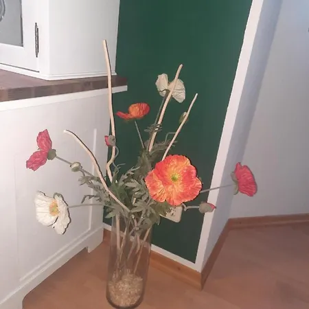 Appartement Lerchi Am Nuerburgring *